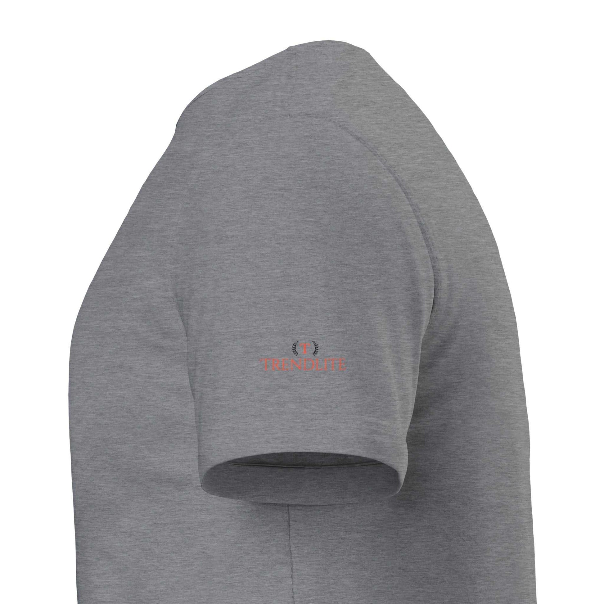 Gray Ruined Streetwaer unisex heavyweight cotton crewneck t-shirt with double-needle collar and hems, casual fit for everyday wear